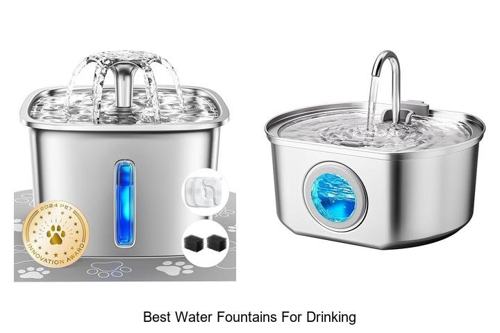 Discover the Best Water Fountains for Drinking Now!