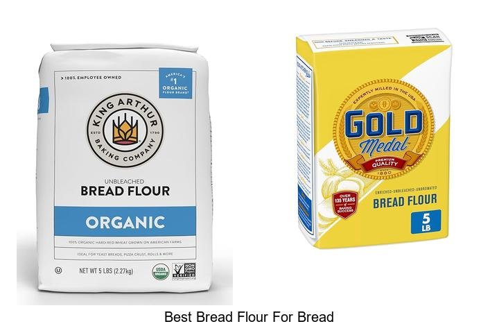Ultimate Guide to the Best Bread Flour for Bread!