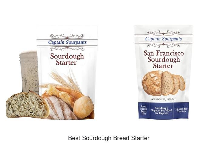 The Secret to the Best Sourdough Bread Starter